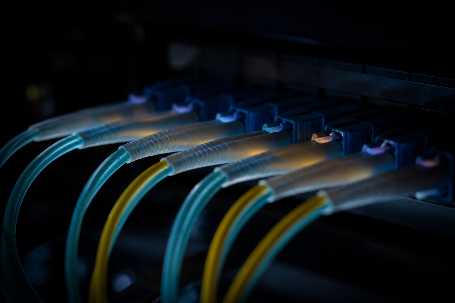 An extreme close view of fibre optic patch leads in a patch panel, aqua and yellow jackets curving into adapters in a neat row with faint light at the connector ends.